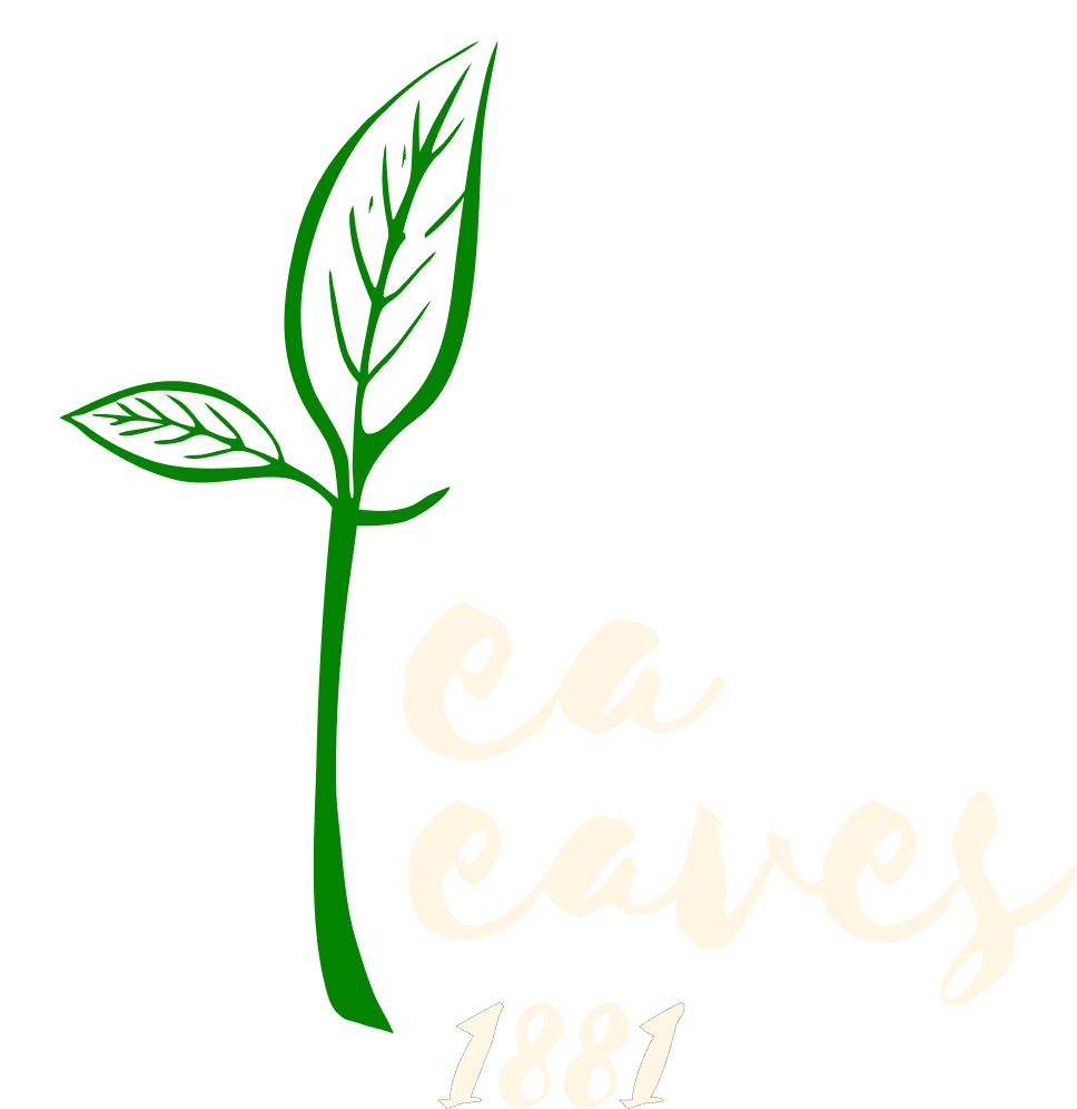 Tea Leaves 1881